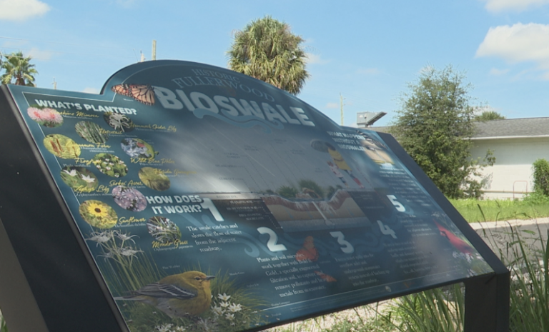 St. Augustine Completes Court Theophelia Flood Mitigation Project
