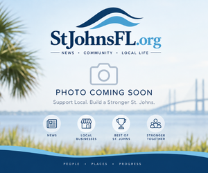 St Johns School “Cat In The Hat” Social Media Posts